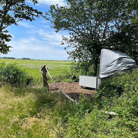 Hof Steinhuetten Schlafstrandkorb Westerhever Buitenkant foto
