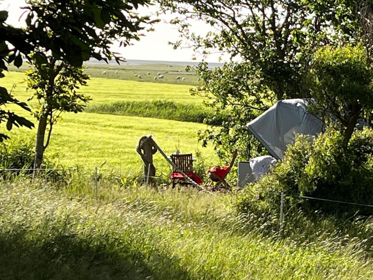 Hof Steinhuetten Schlafstrandkorb Westerhever Buitenkant foto